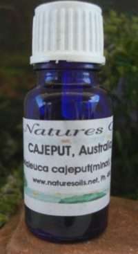 Nature's Oils Cajeput