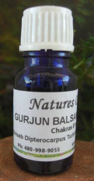 Nature's Oils Gurjun Balsam